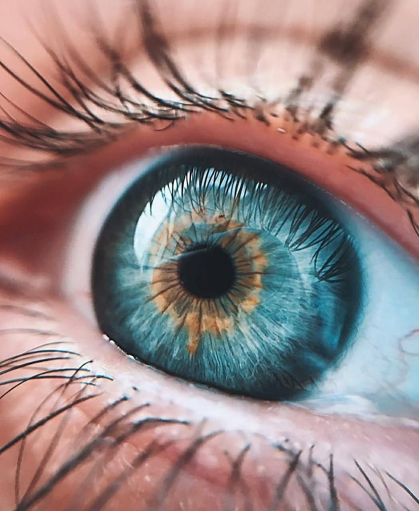 A close up of a blue eye with long eyelashes - Eyes