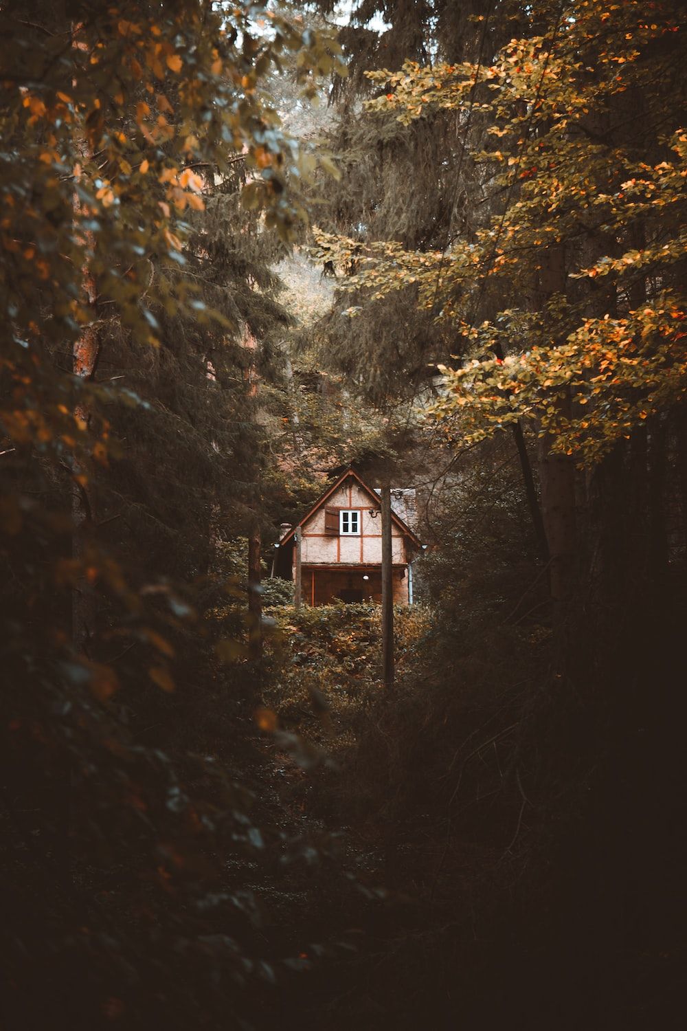 Cabin In Woods Picture. Download Free Image