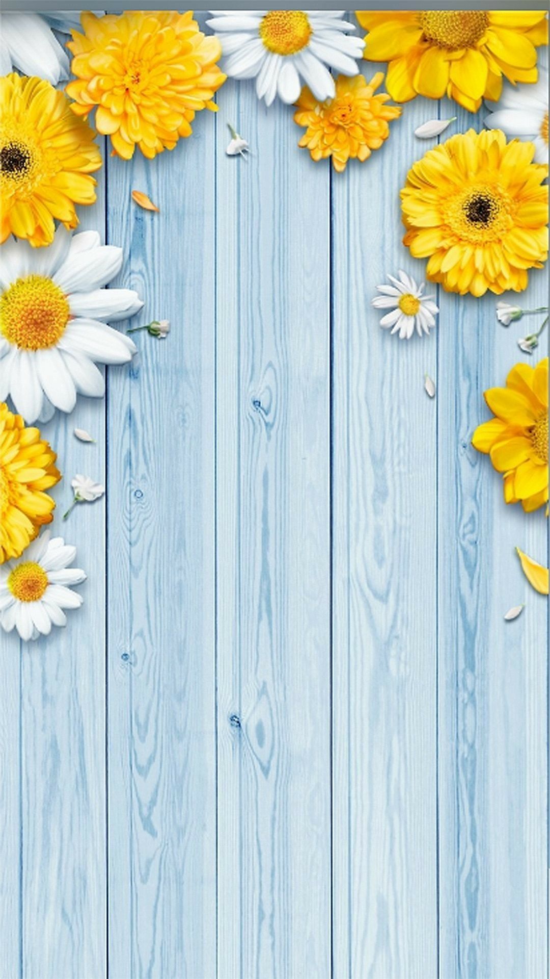 Yellow flowers on a blue wooden background - Woods