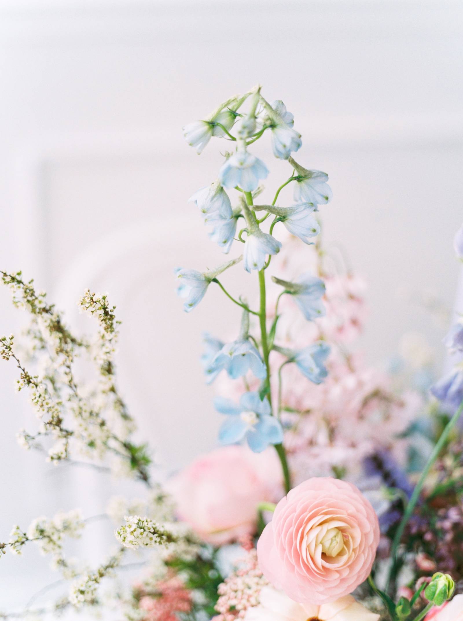 A vase of flowers with pink and blue roses - Bridgerton