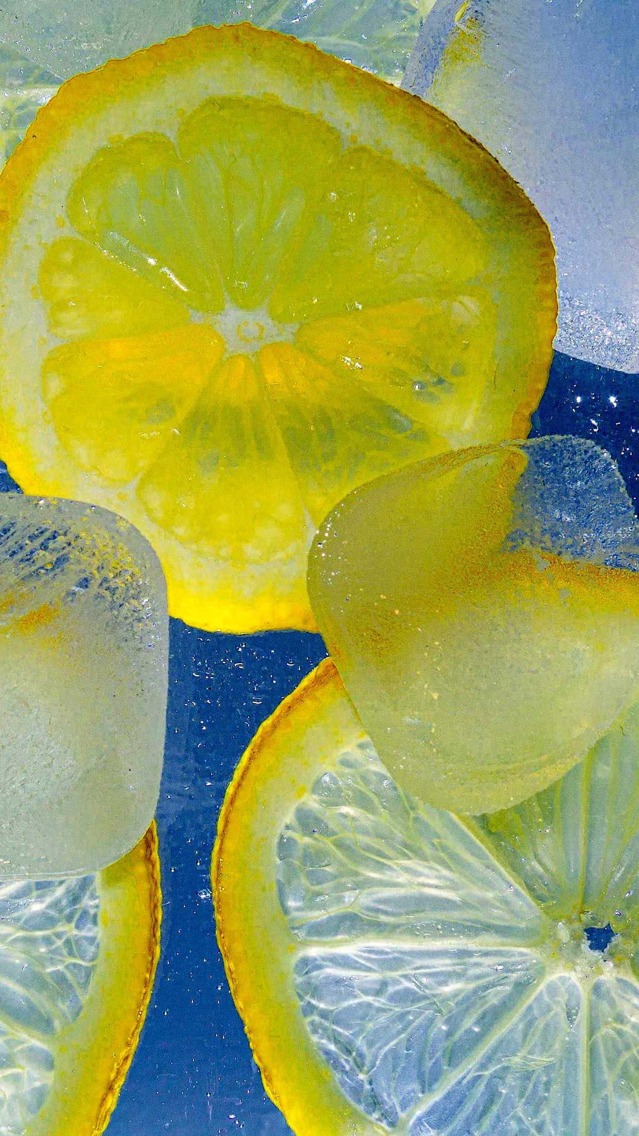 Sliced lemons on a blue background - Lemon