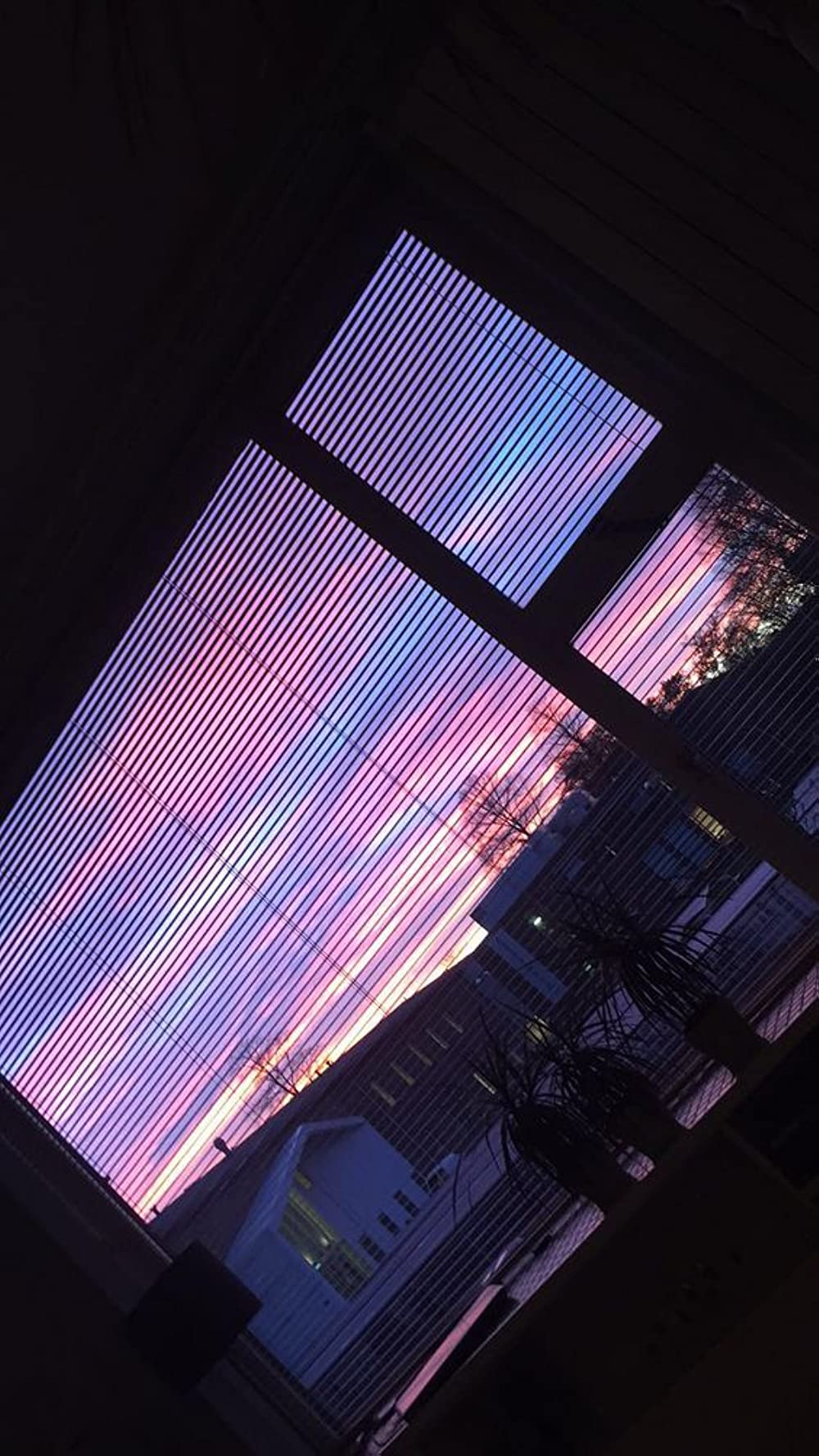 A skylight at night with a purple and blue sunset - School