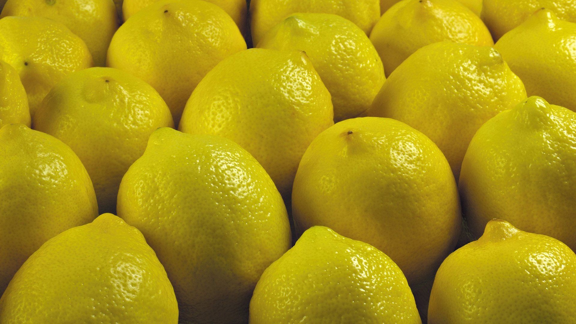 A large pile of lemons. - Lemon