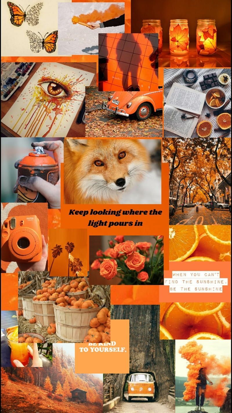 Aesthetic collage of orange and brown images including fox, flowers, and camera. - Orange, fox