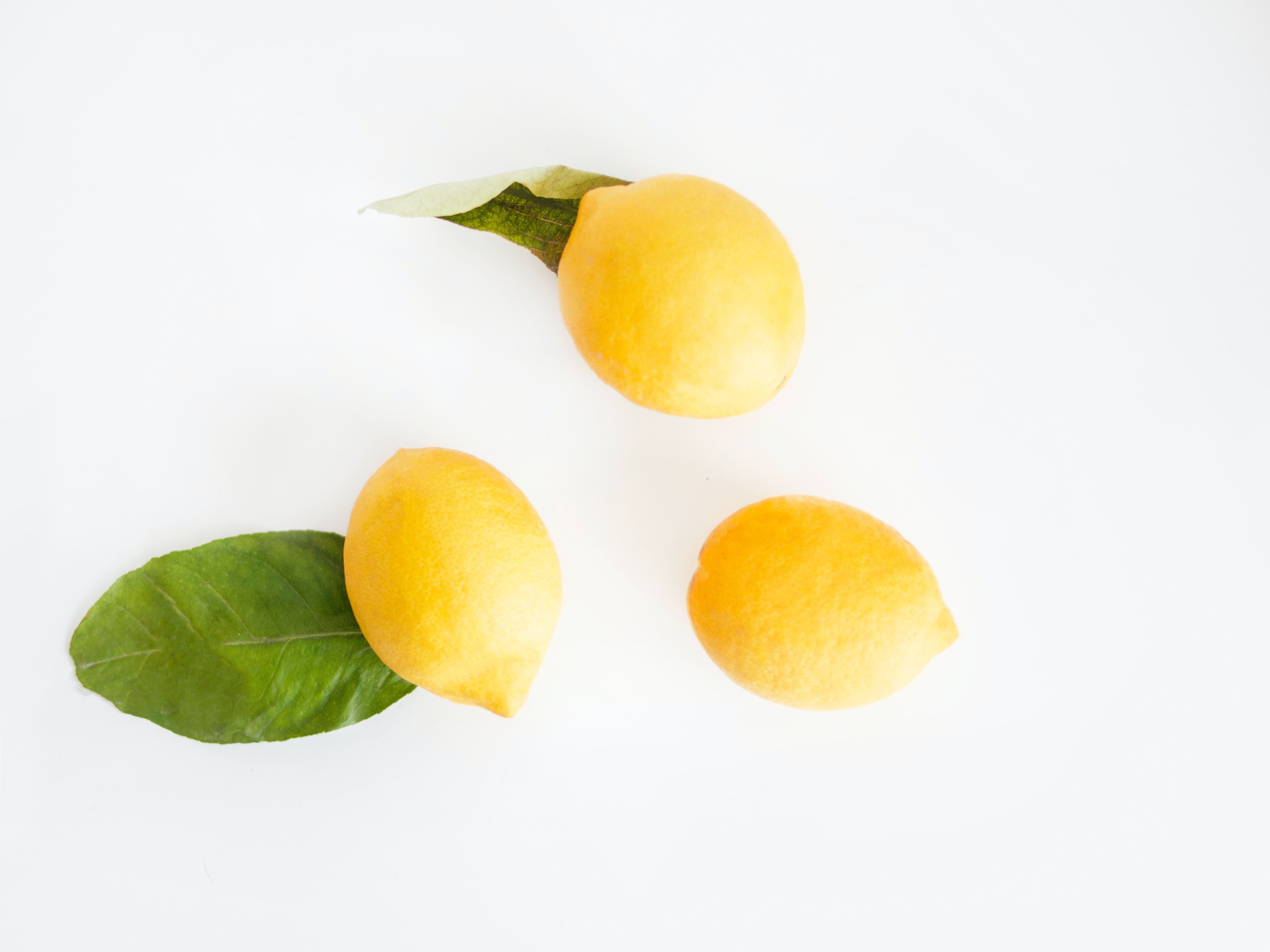 Three pieces of fruit with leaves on a white background - Lemon