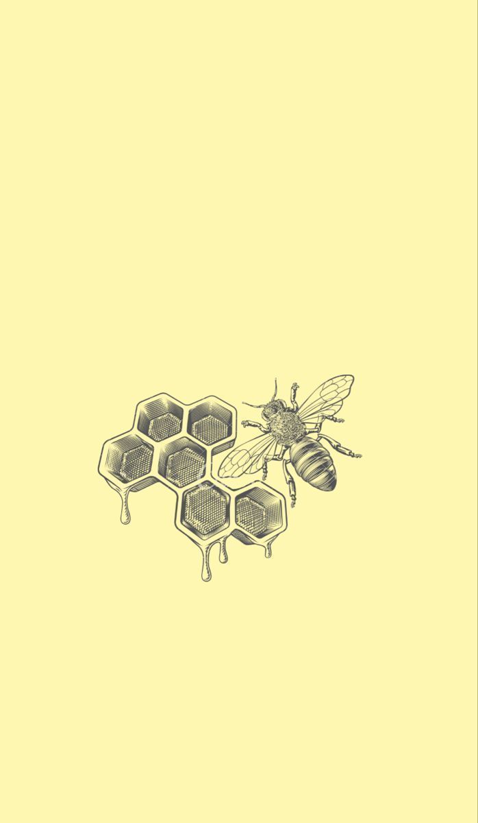 A drawing of bees and honeycomb on yellow paper - Honey, bee