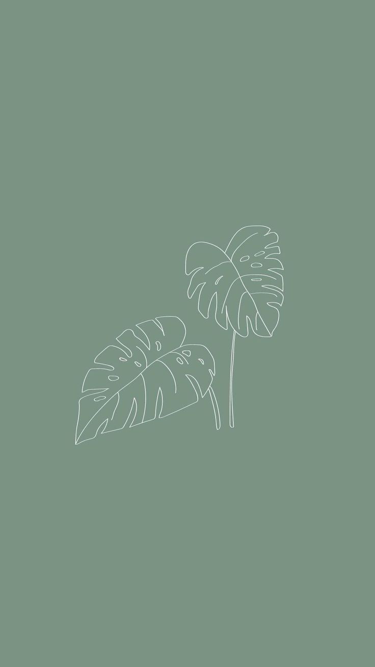 Two palm leaves on a green background - Sage green
