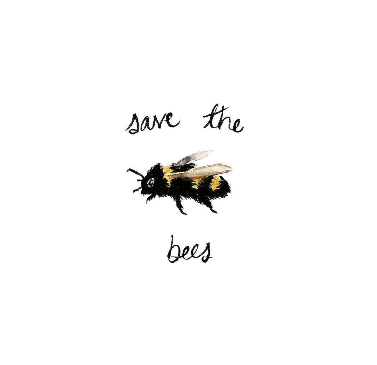 Save The Bees Wallpaper