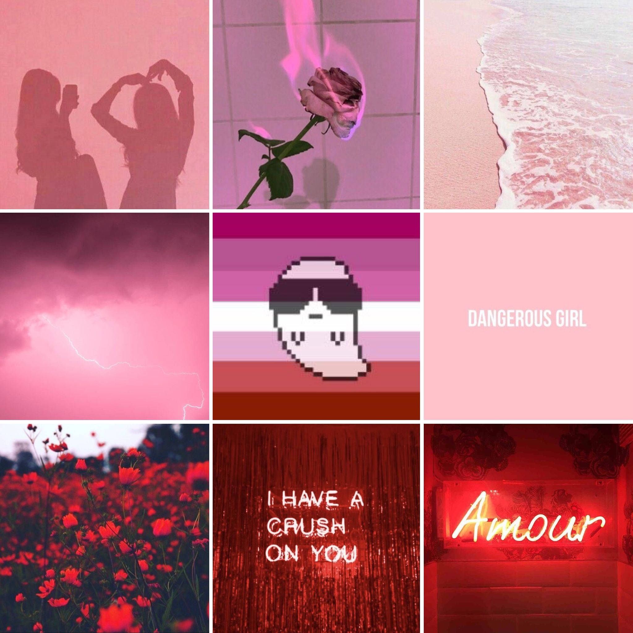 Aesthetic collage of pink and red images including a rose, a neon sign, and a beach. - LGBT, lesbian