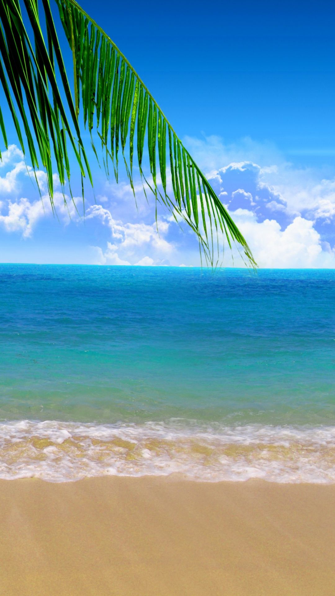 A beach with palm trees and blue water - Beach