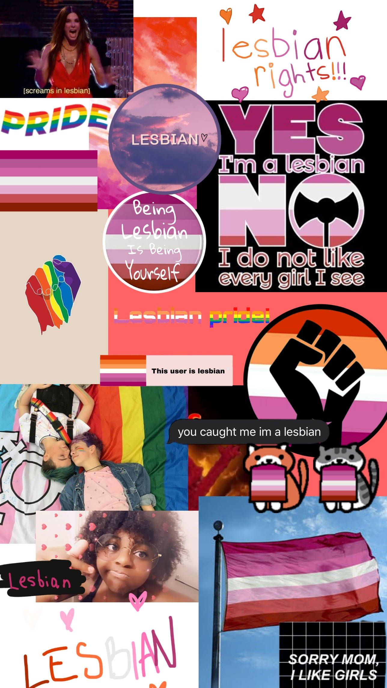 Download Lesbian Aesthetic Rights Mood Board Wallpaper