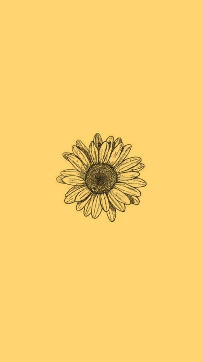 Yellow aesthetic wallpaper with a sunflower - Phone