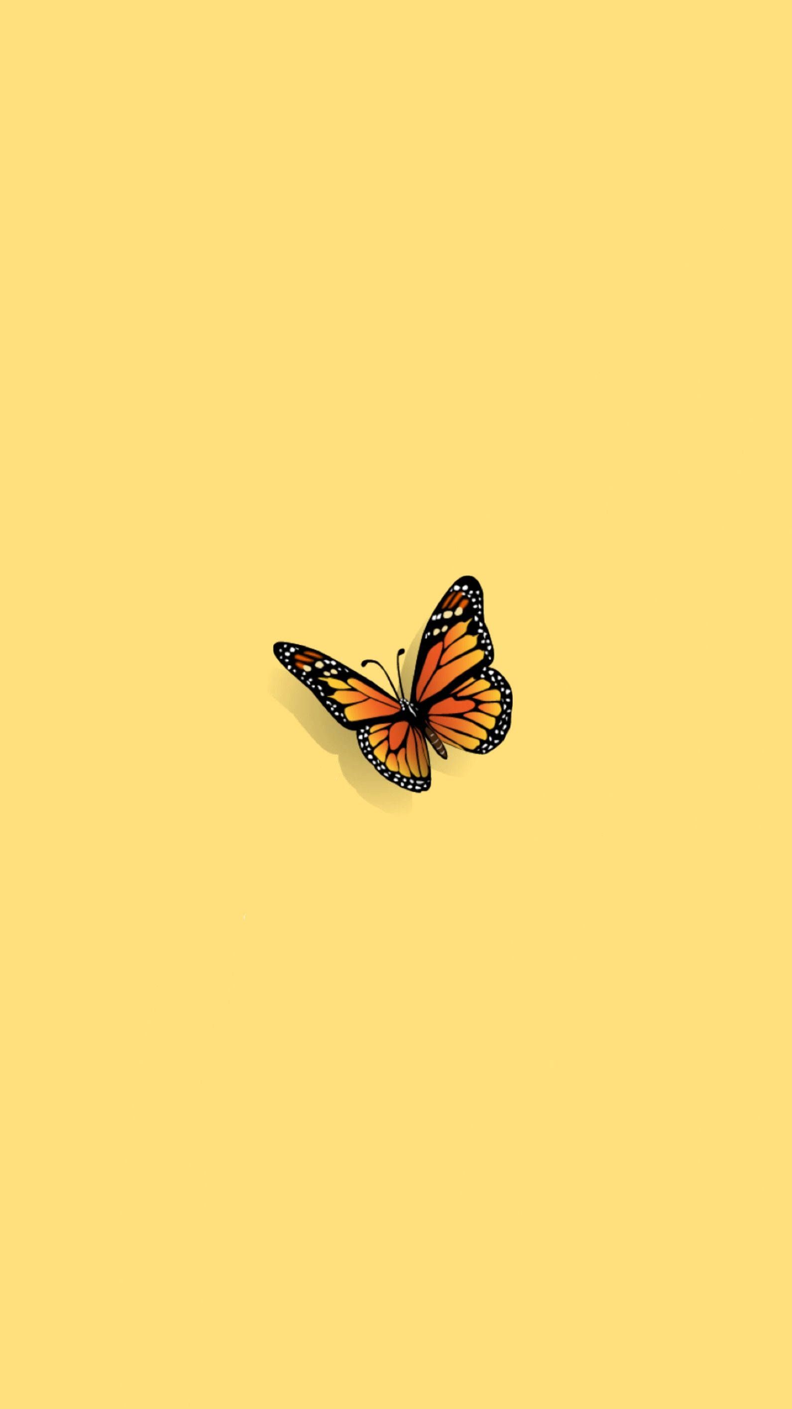 Download Minimalist Orange Butterfly Aesthetic Wallpaper