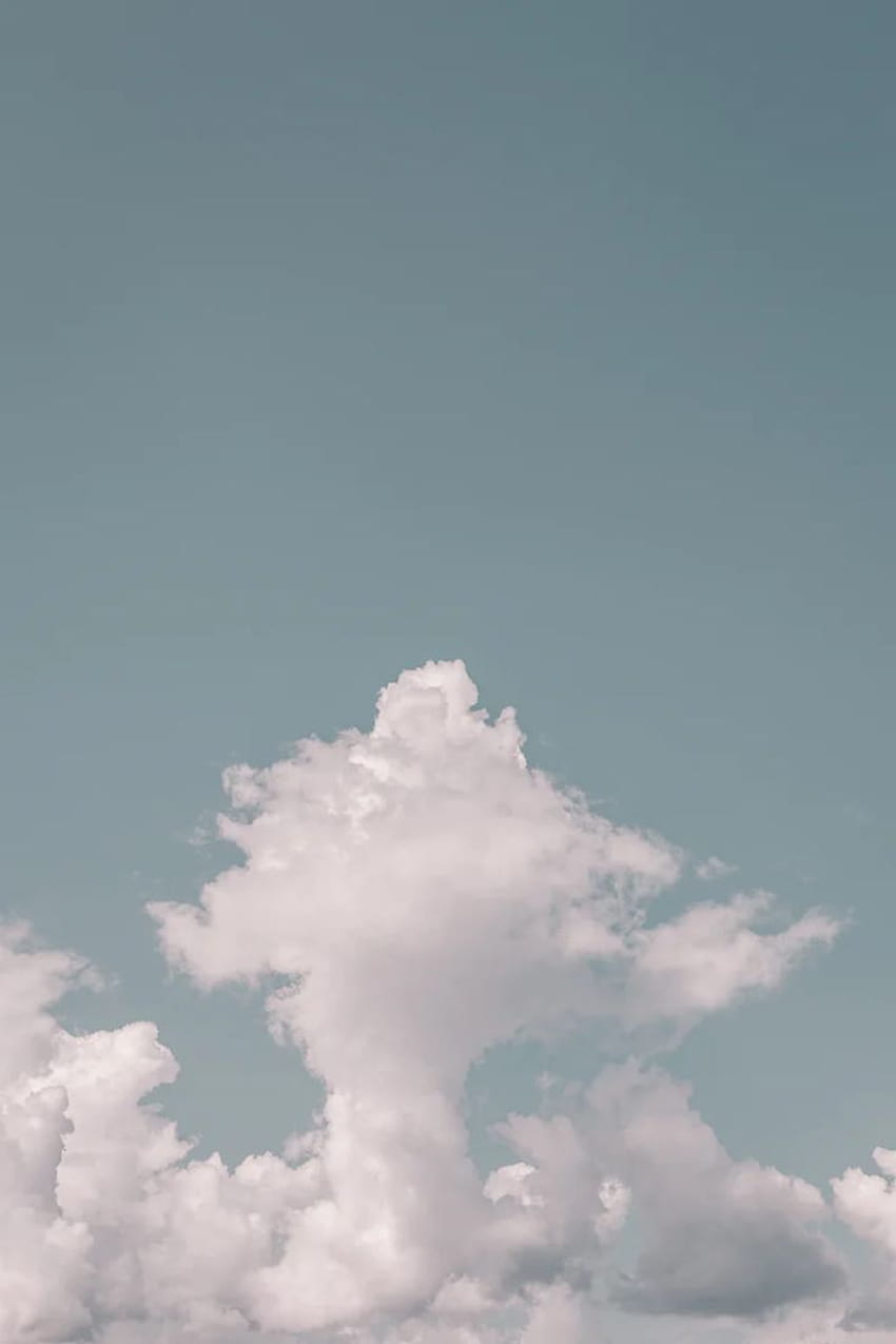 A sky with clouds that looks like a dog. - Clean