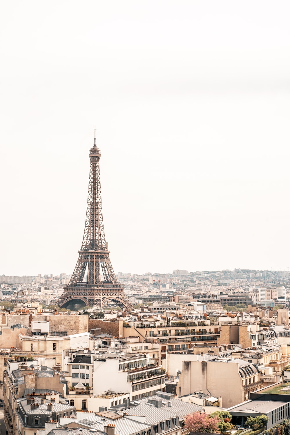 The Eiffel Tower towering over the city of Paris - Paris