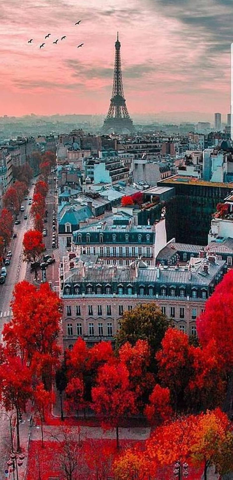 HD paris autumn wallpaper