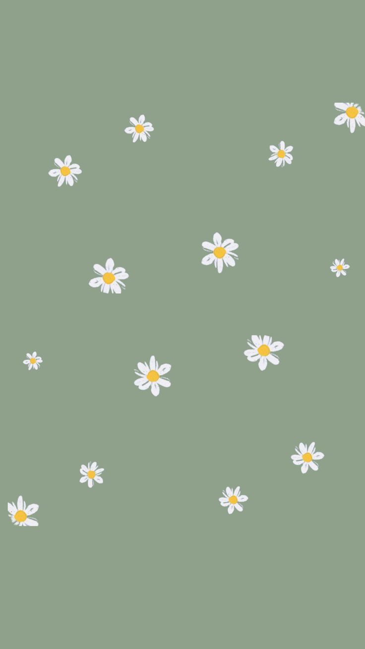A group of white daisies on green background - IPad