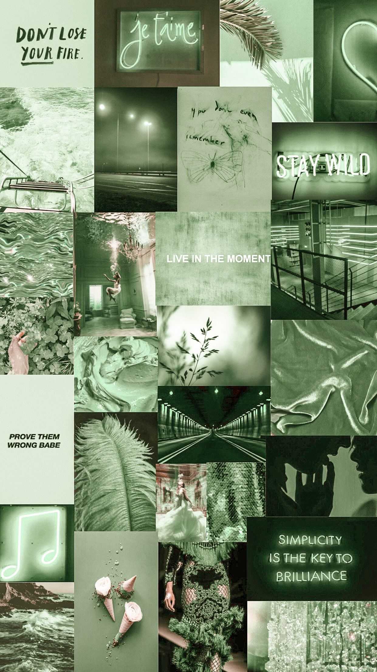 A collage of pictures with green and white - Sage green, green