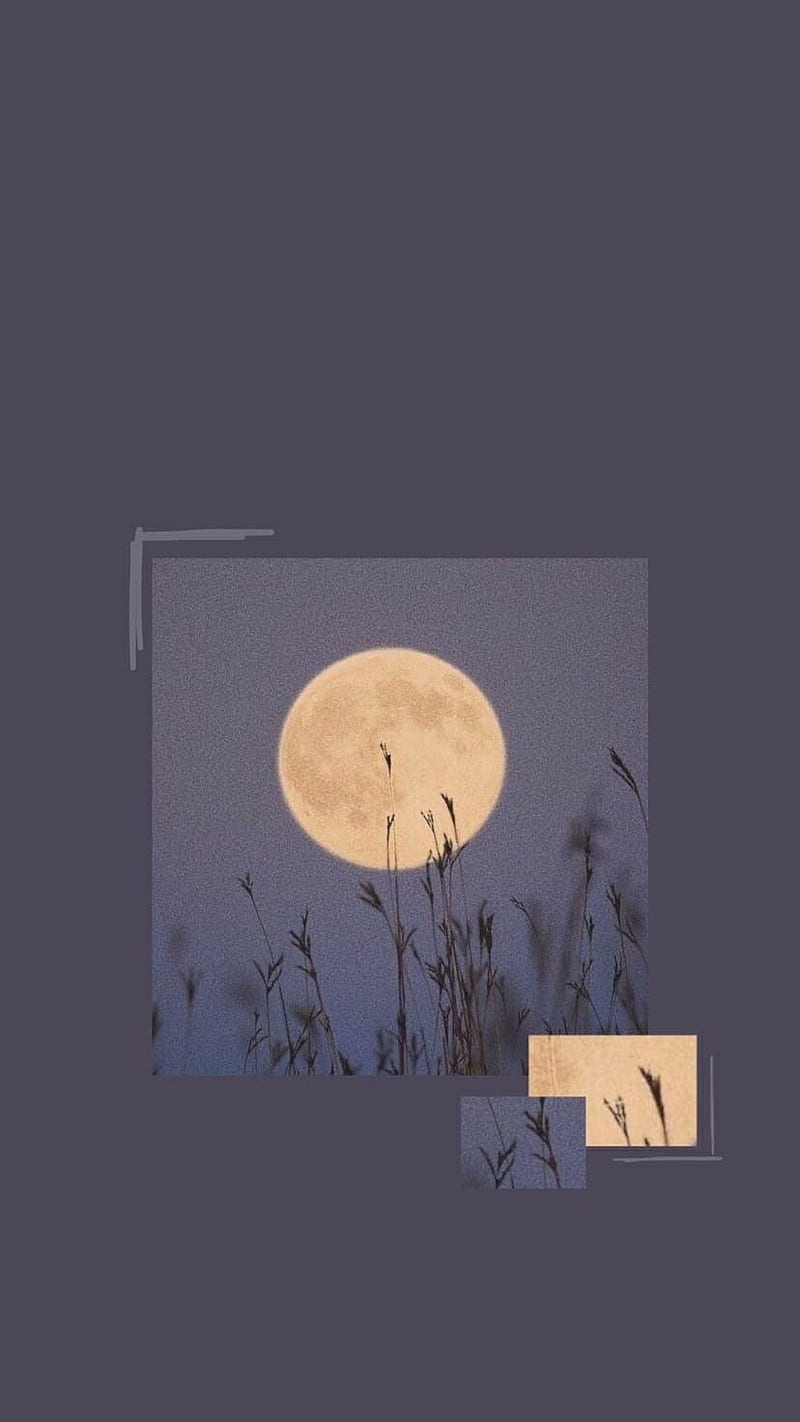 Moon, aesthetic, calm, HD phone wallpaper