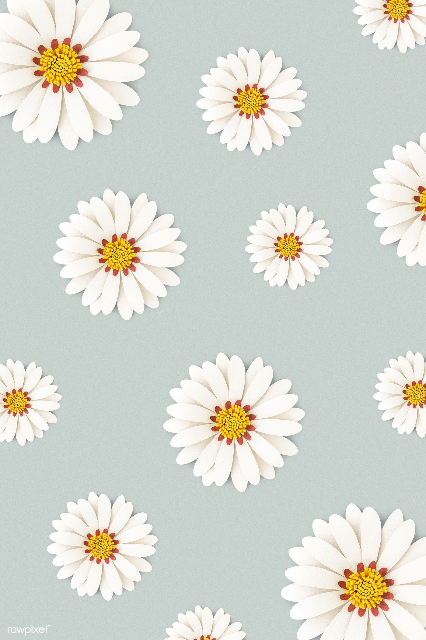 Download premium vector of White daisies pattern on a gray background - Daisy