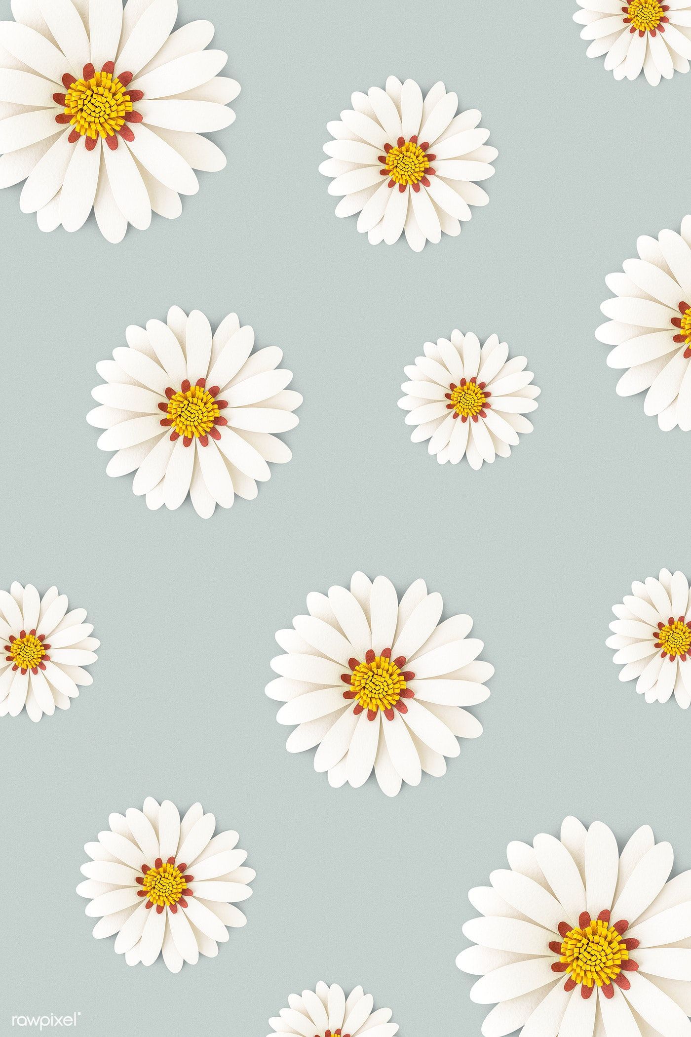 Daisy Wallpaper