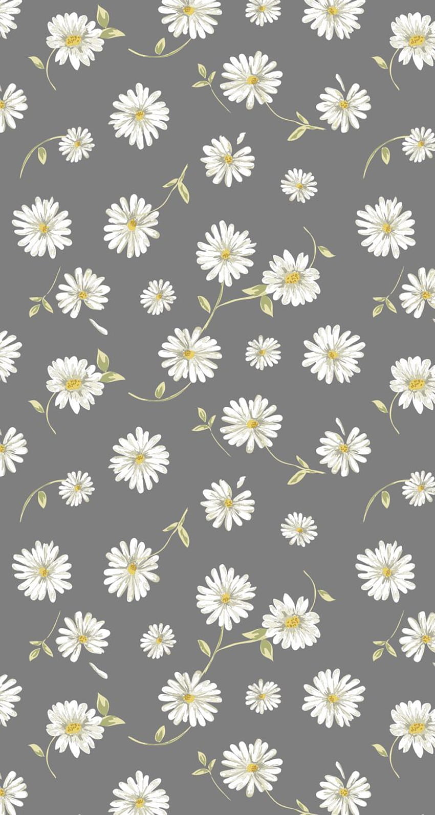 A pattern of white daisies on grey background - Daisy