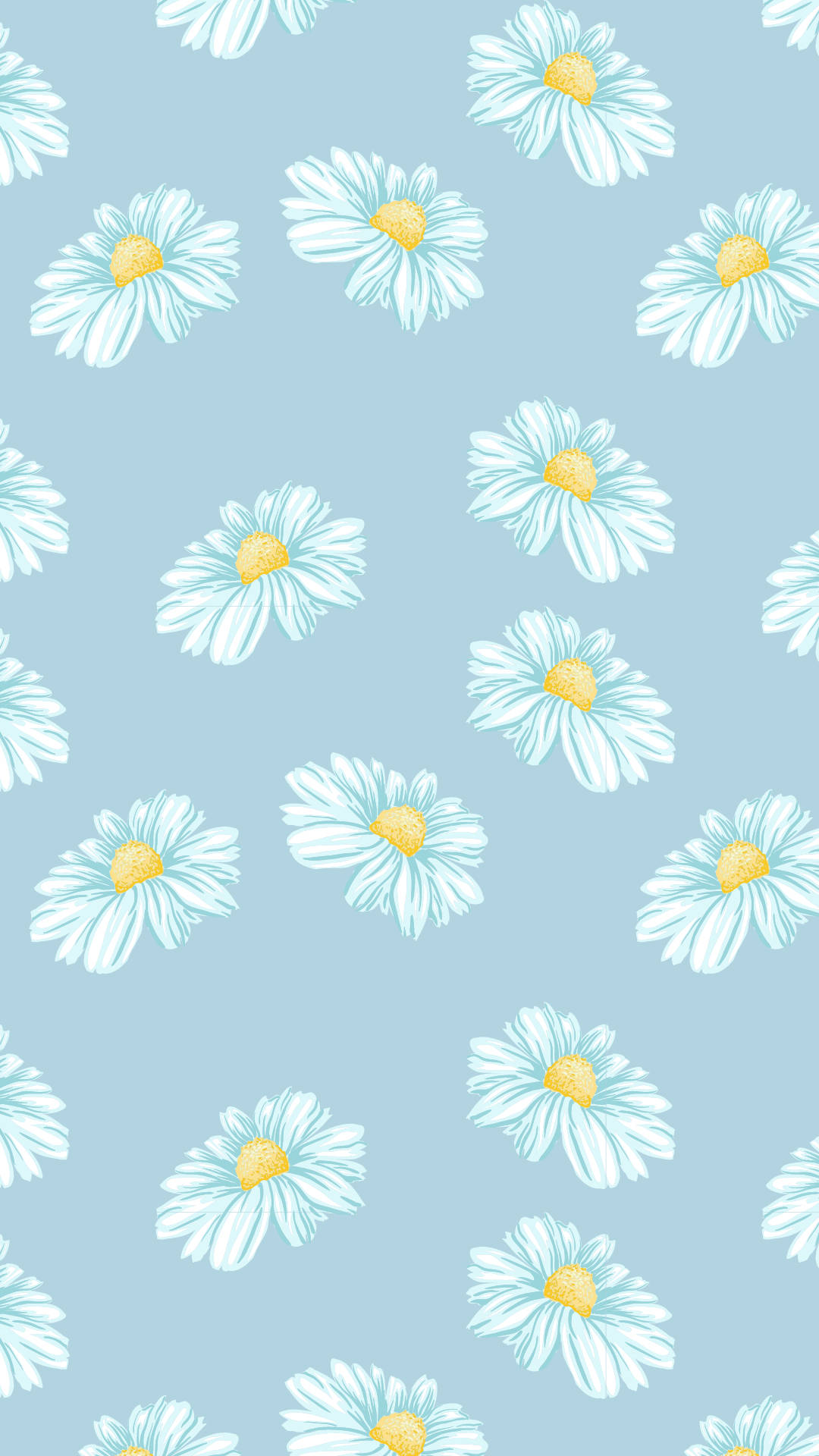 : a blue background with white flowers on it - Daisy
