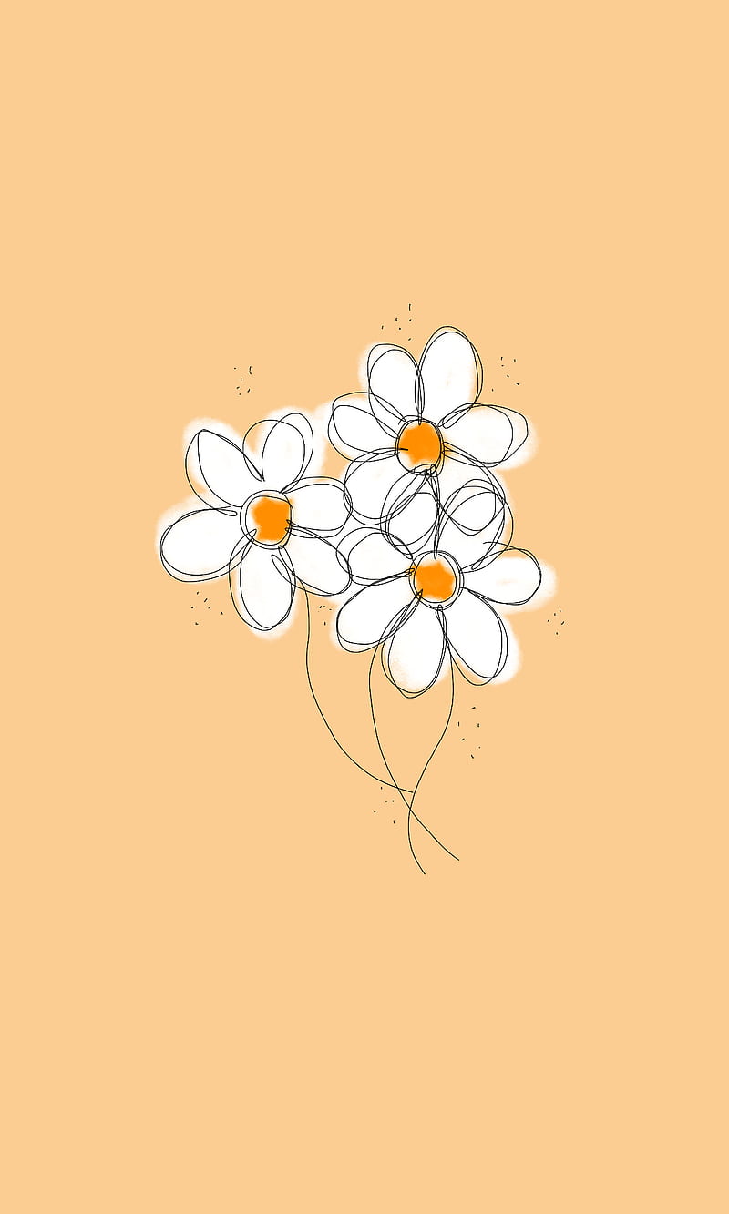 A graphic illustration of four daisies on a yellow background - Daisy