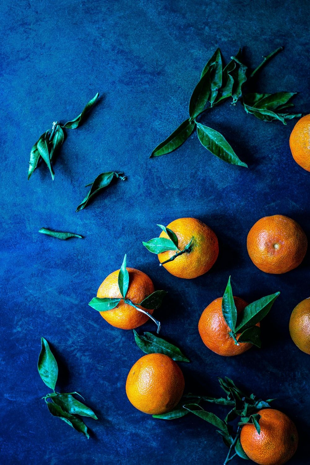 An overhead shot of several oranges with leaves on a blue background. - Fruit, food, foodie