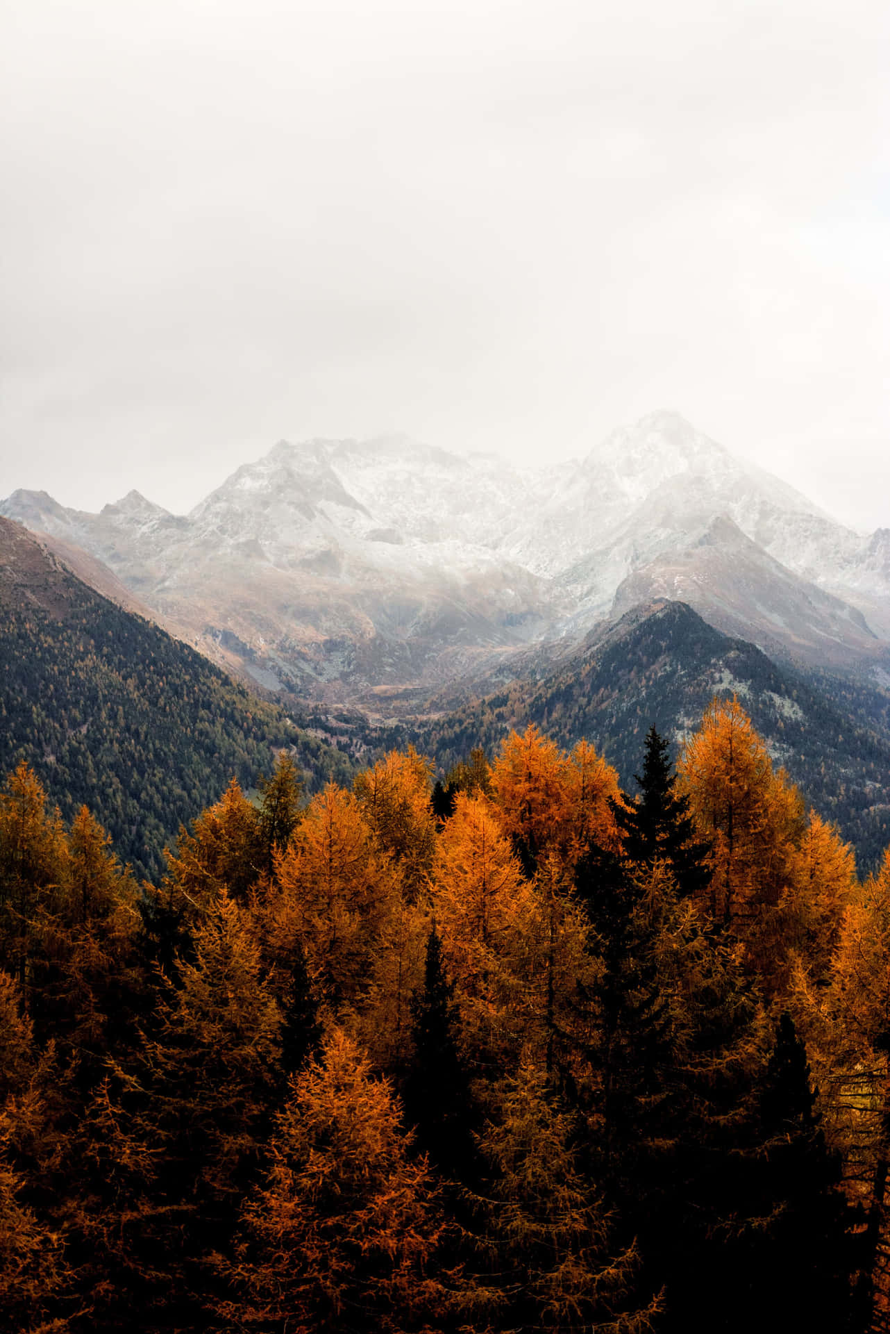 A mountain range with trees and snow - Nature