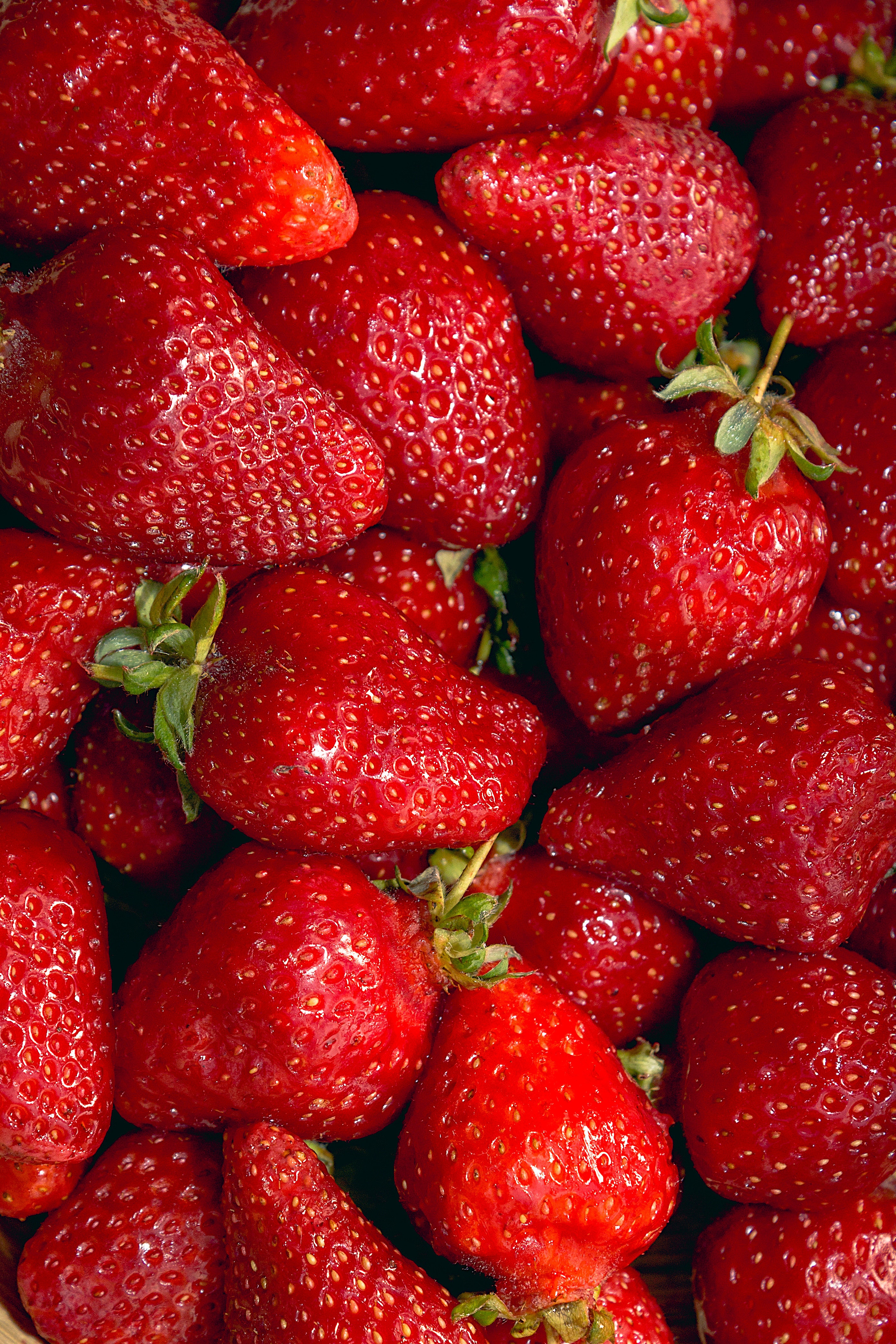 Strawberries in Packaging Containers · Free