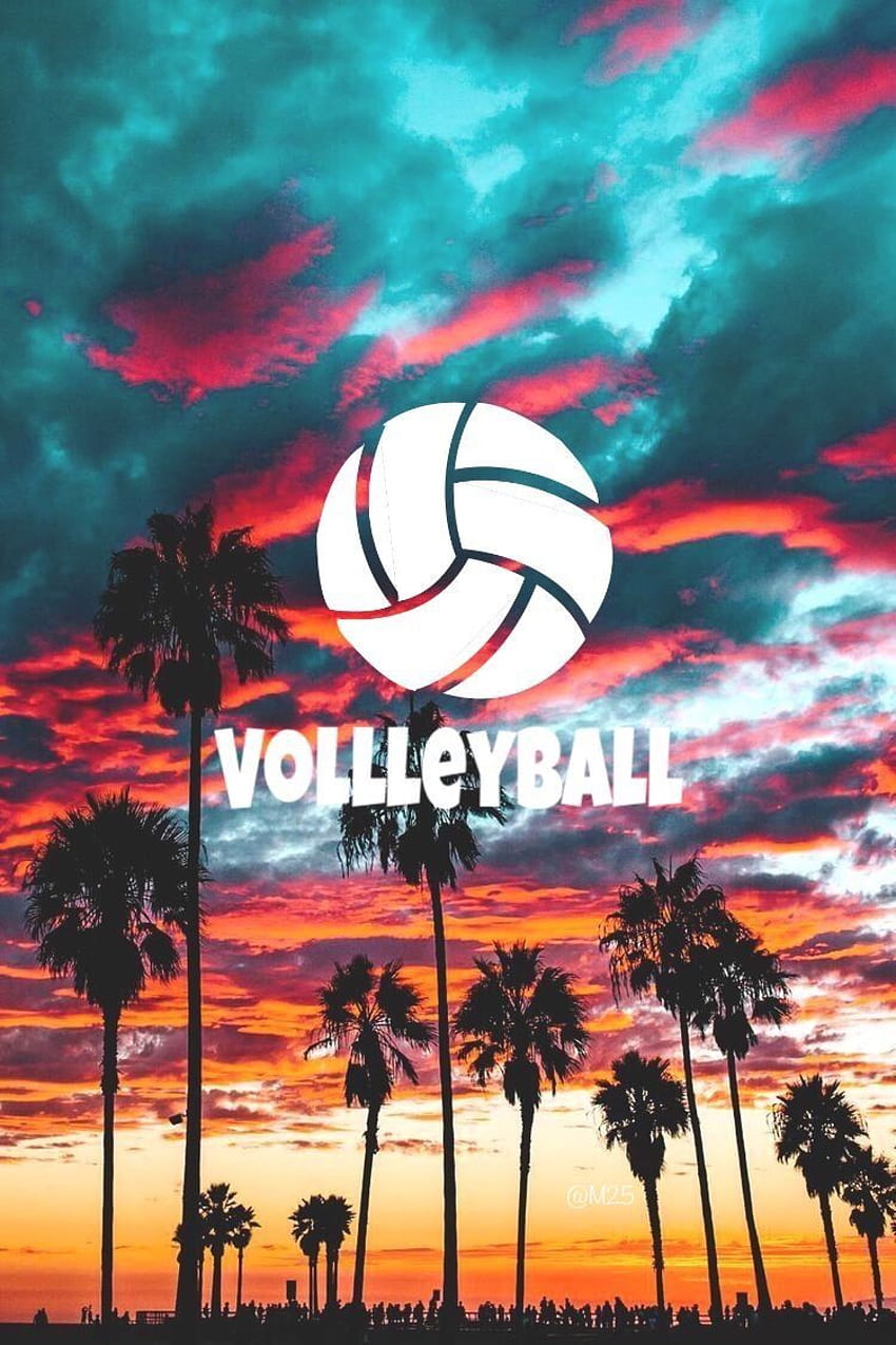 The volleyball logo with a sunset background - Volleyball