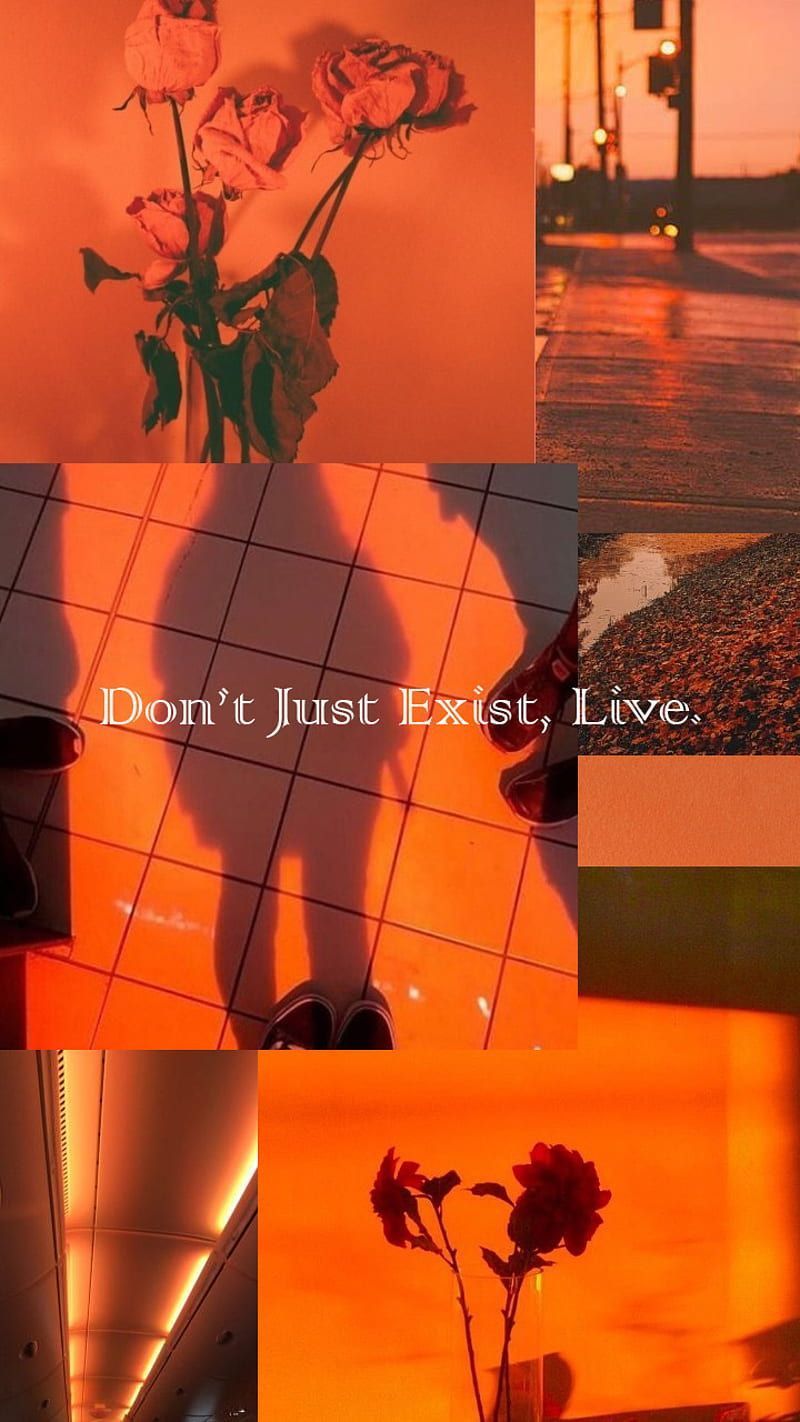 A collage of pictures with the words don't just exist live - Neon orange, orange