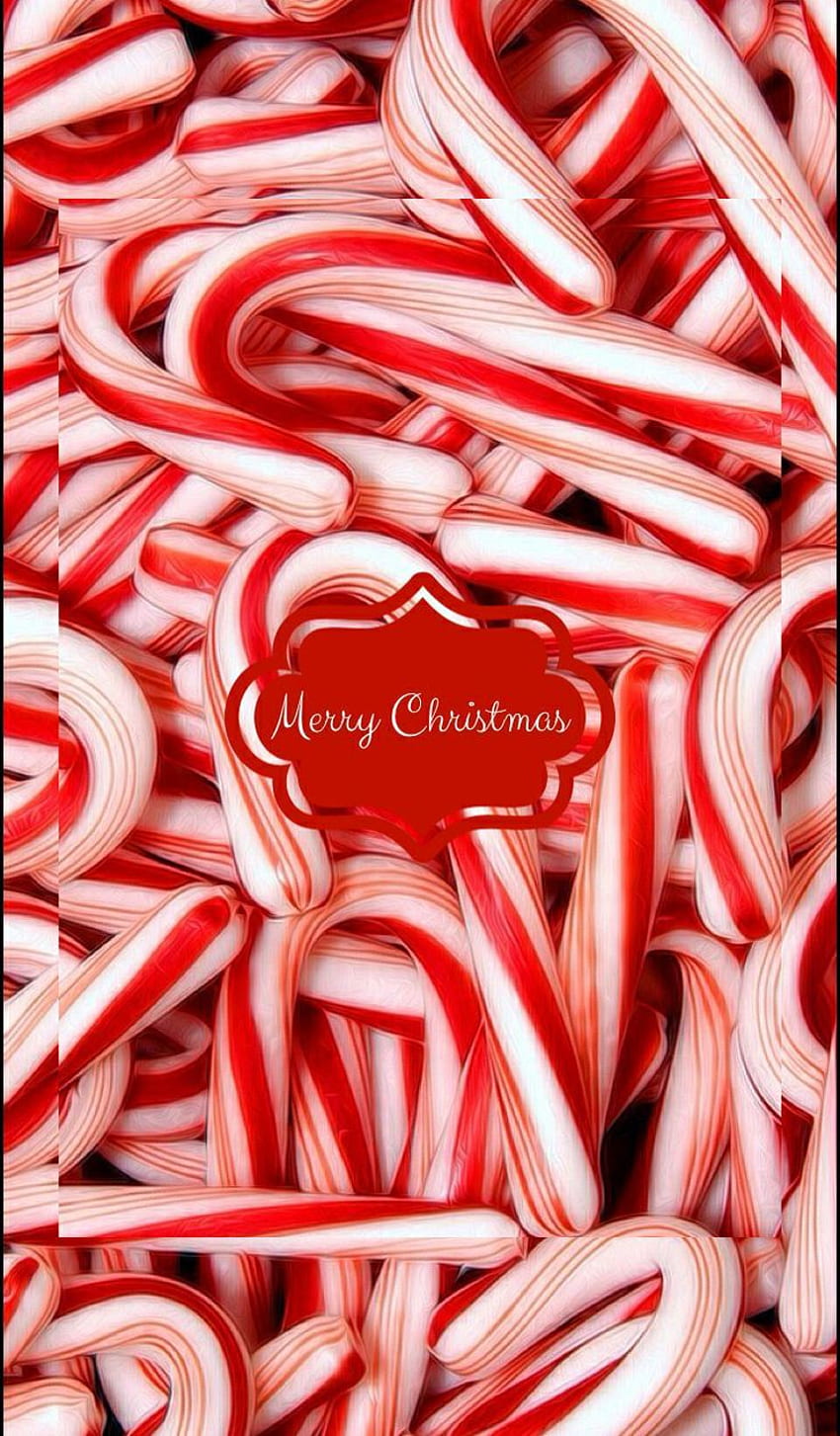 A pile of candy canes with a Merry Christmas sign in the middle. - Candy cane
