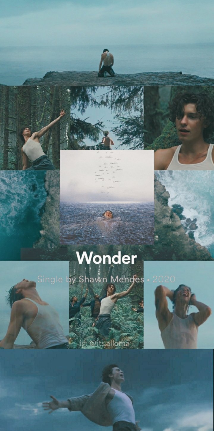 A collage of pictures with the word wonder - Shawn Mendes