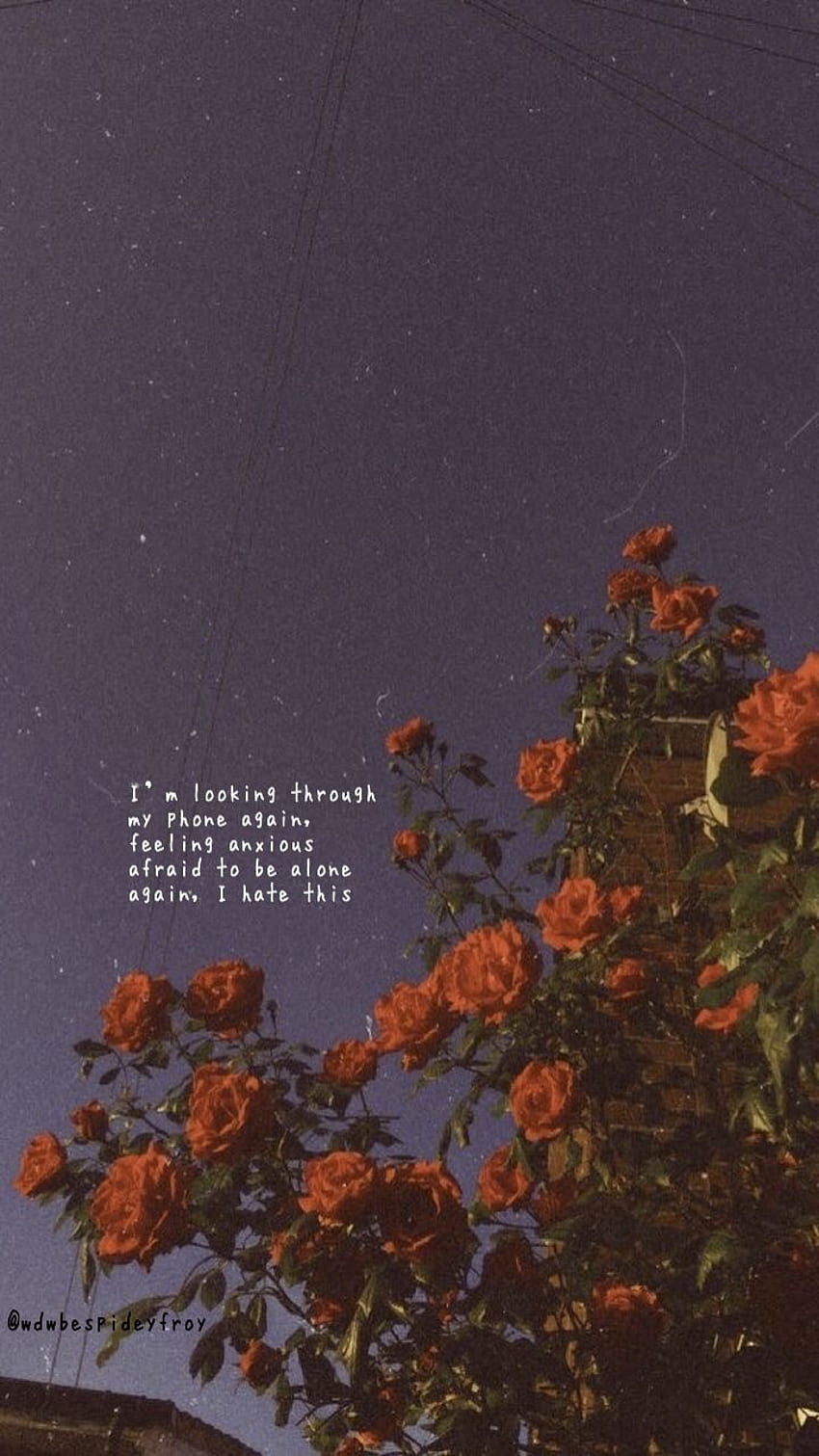 In my blood Mendes. quotes, Shawn mendes lyrics, Aesthetic Blood HD phone wallpaper