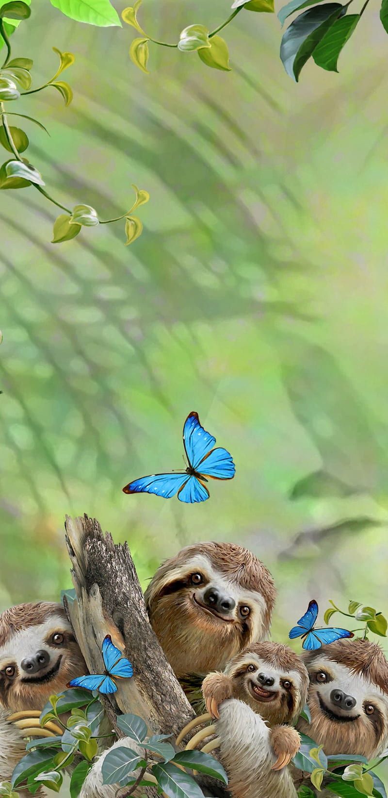 Sloths Selfie, animal, animals, butterfly, cute, funny, HD phone wallpaper