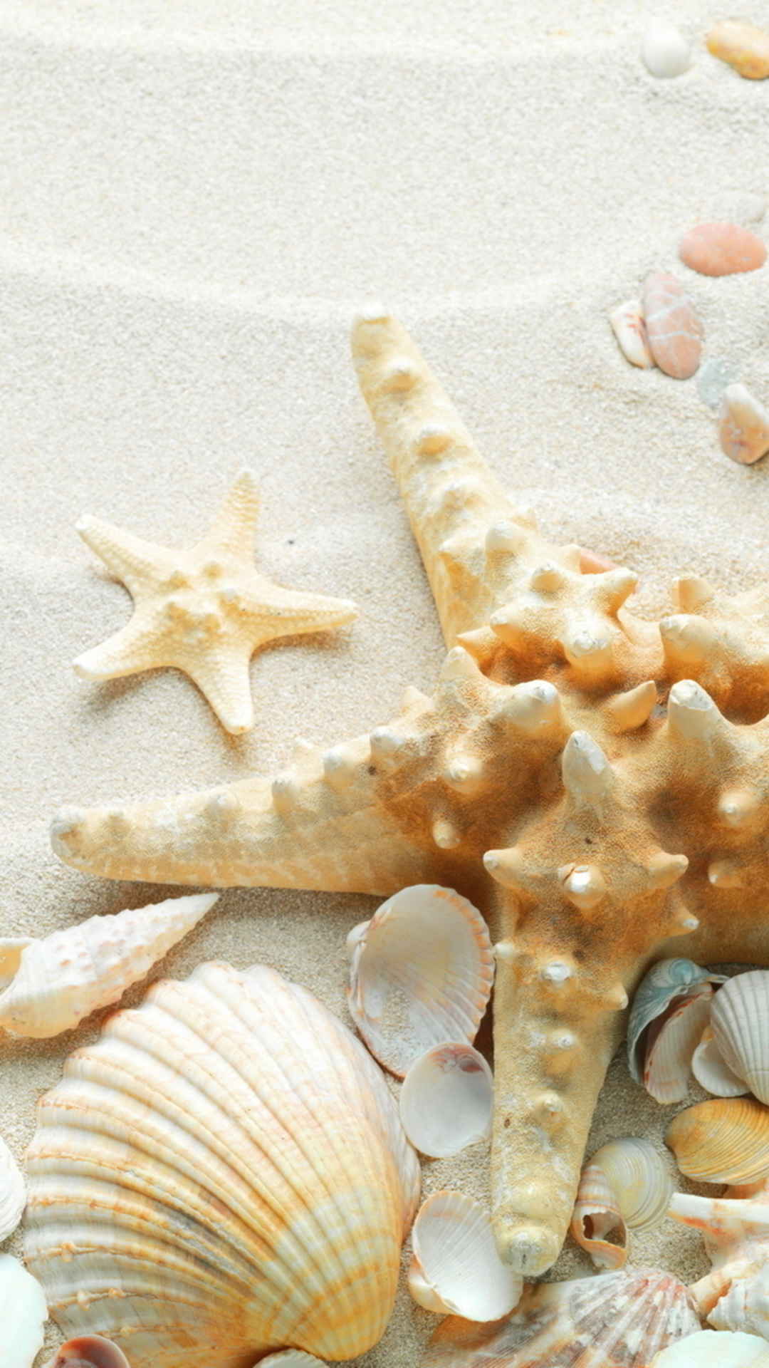 Free download Pure Seaside Beach Starfish Seashell iPhone 8 Wallpaper Free Download [1080x1920] for your Desktop, Mobile & Tablet. Explore Beach Wallpaper Free. Beach Free Wallpaper, Free Wallpaper Beach, Free Beach Wallpaper