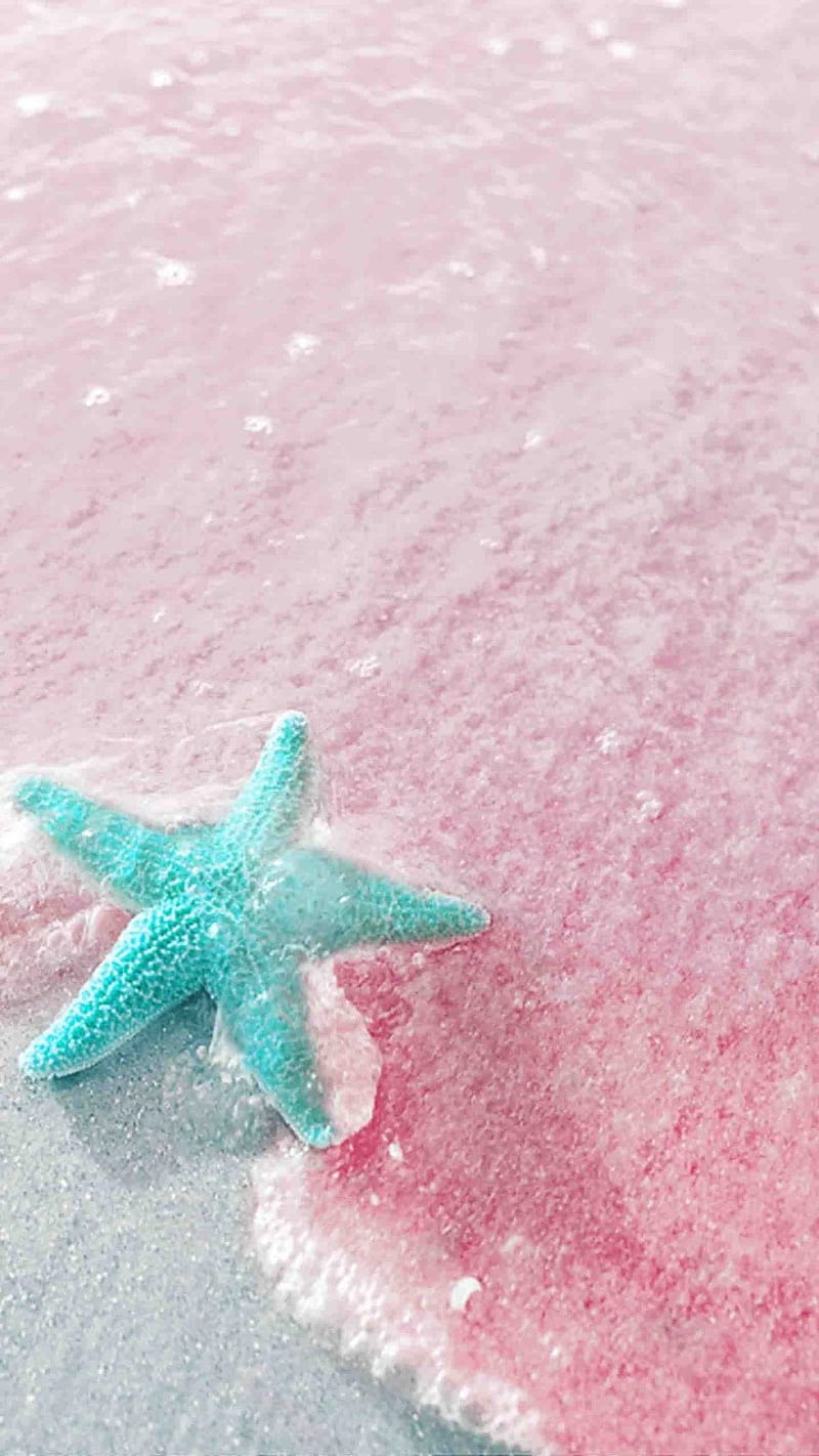 A starfish in the water with pink and blue - Starfish