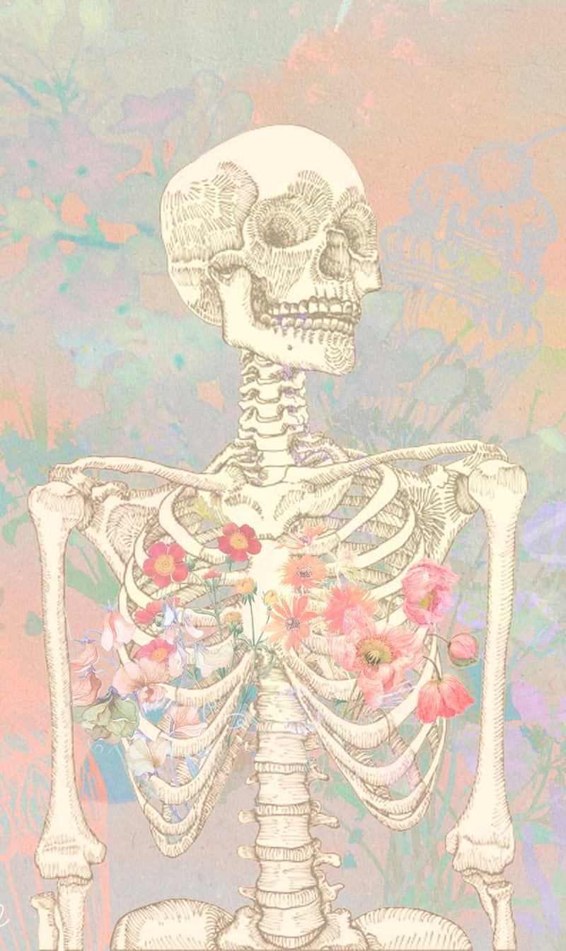 Anatomy Art. Biology art, Art, Anatomy art, Anatomical, HD phone wallpaper