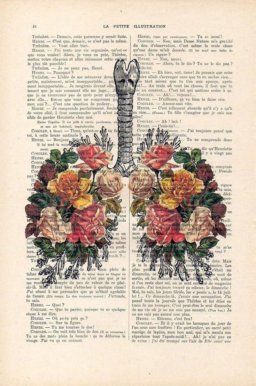 Medical anatomy HD wallpaper