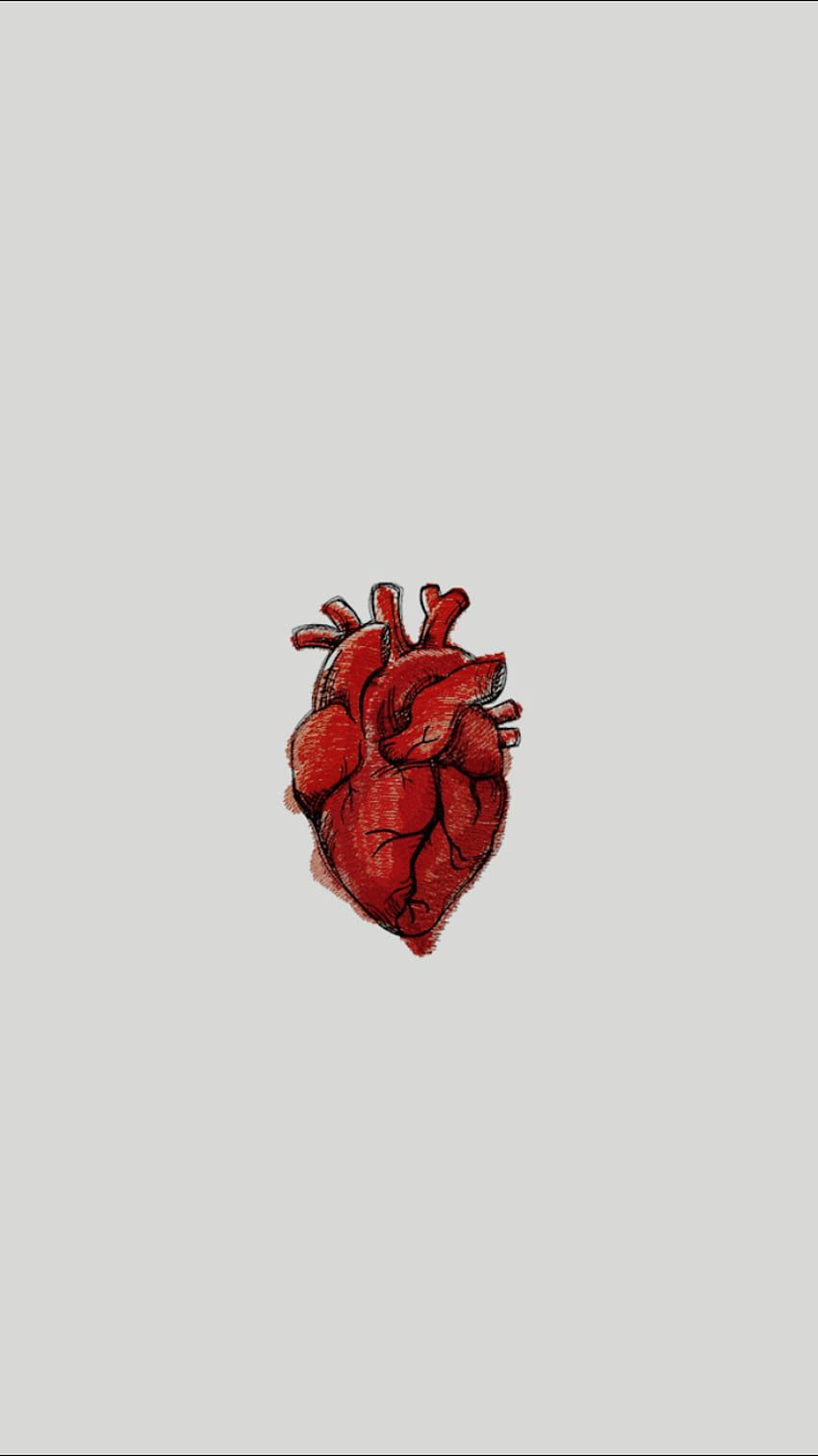 Heart medical art HD wallpaper