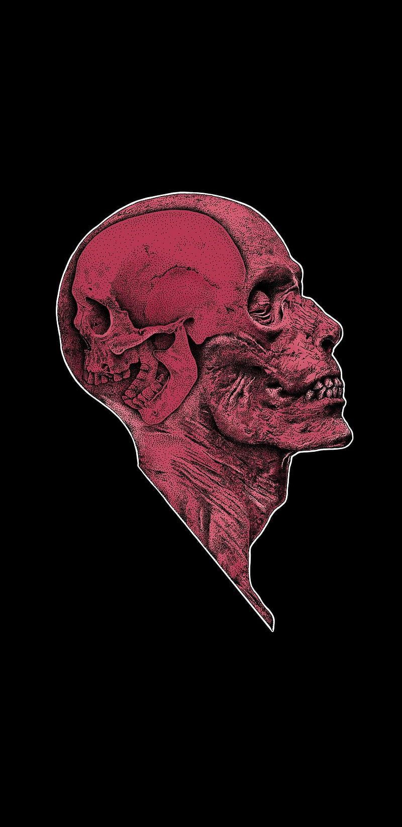 A red and black image of the head - Anatomy