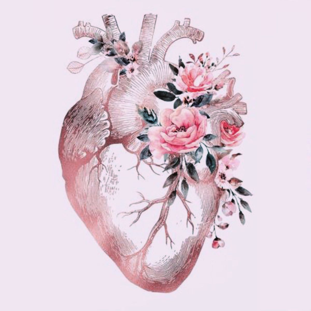Pink human heart aesthetic. Tatuajes de corazón anatómico, Ilustraciones artísticas, Arte de anatomía