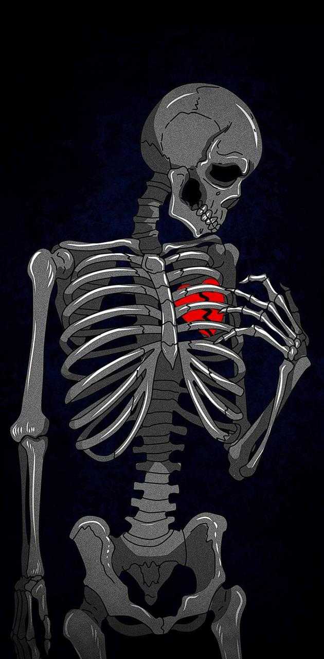 A skeleton with red heart in his chest - Anatomy