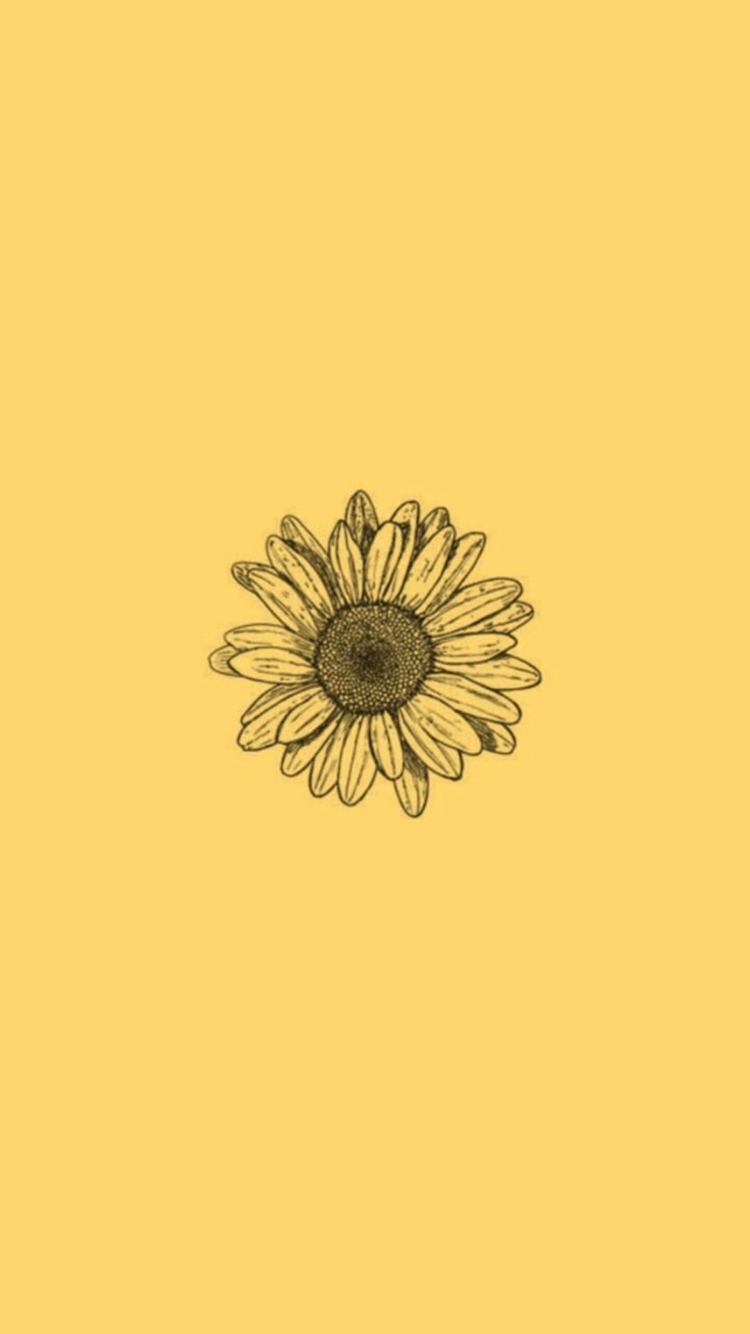 IPhone wallpaper of a sunflower on a yellow background - Sunflower