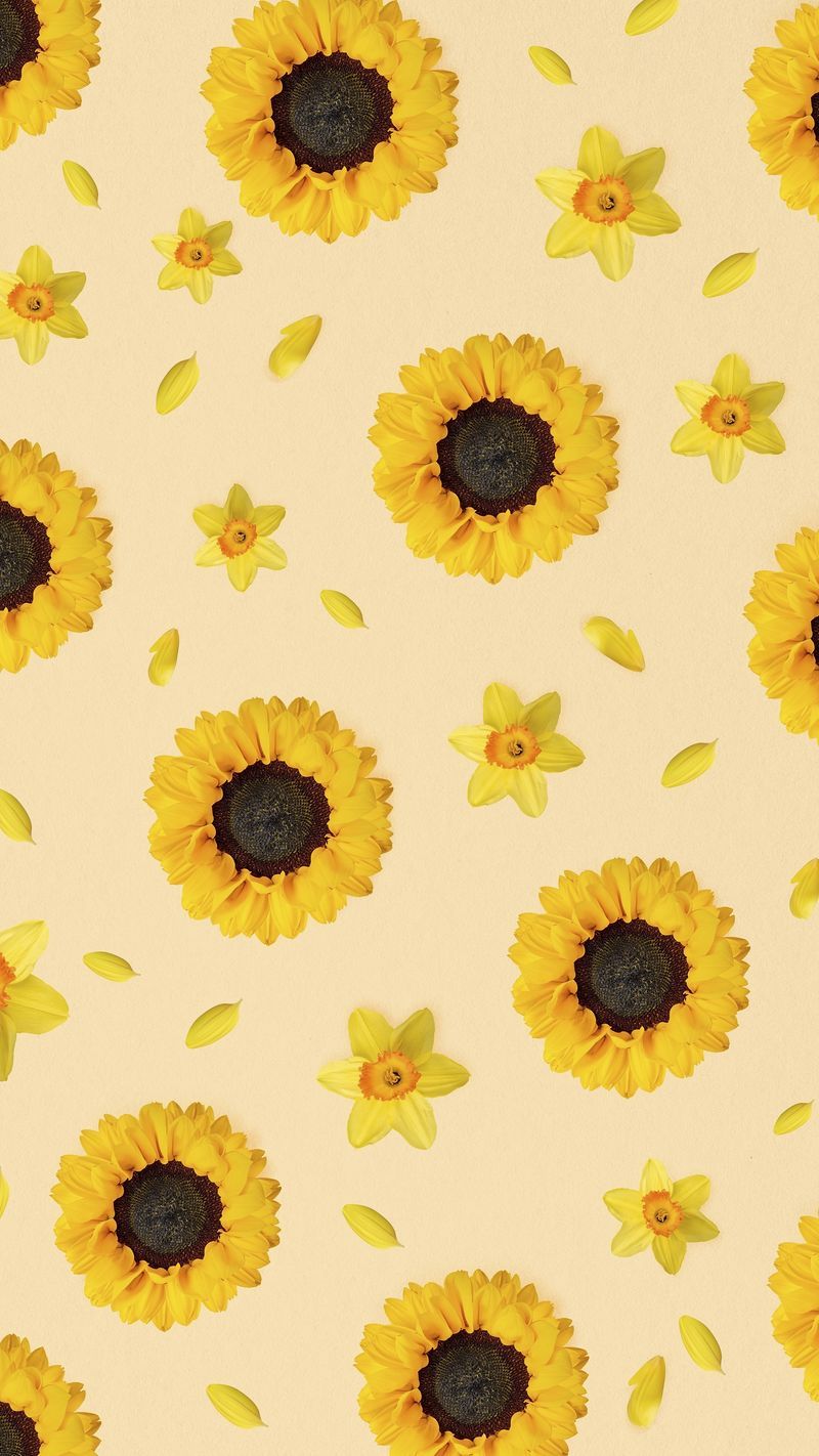 A pattern of yellow sunflowers and petals on a yellow background - Sunflower