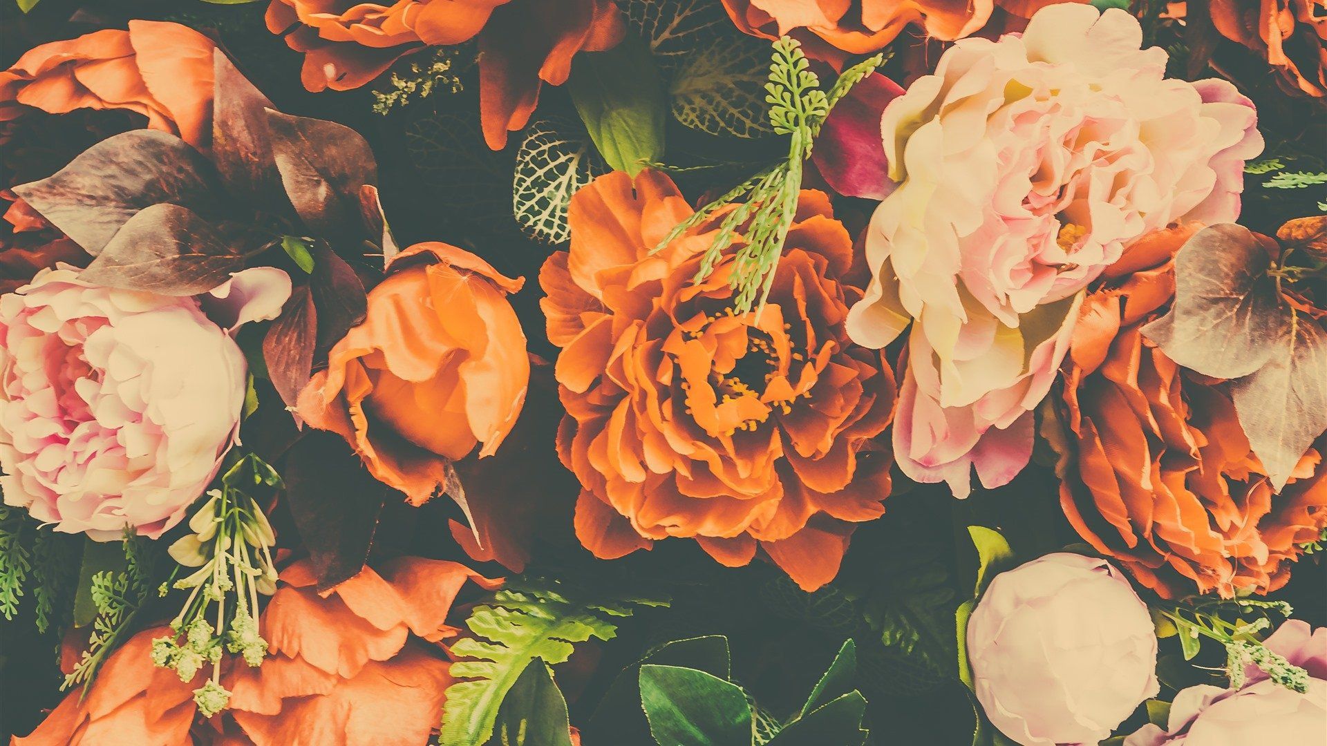 A variety of flowers in shades of orange, pink, and white. - Orange, flower