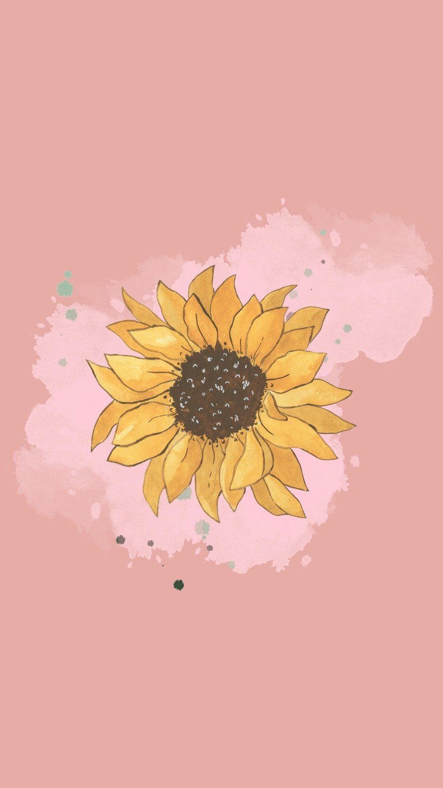 A sunflower on a pink background - Sunflower