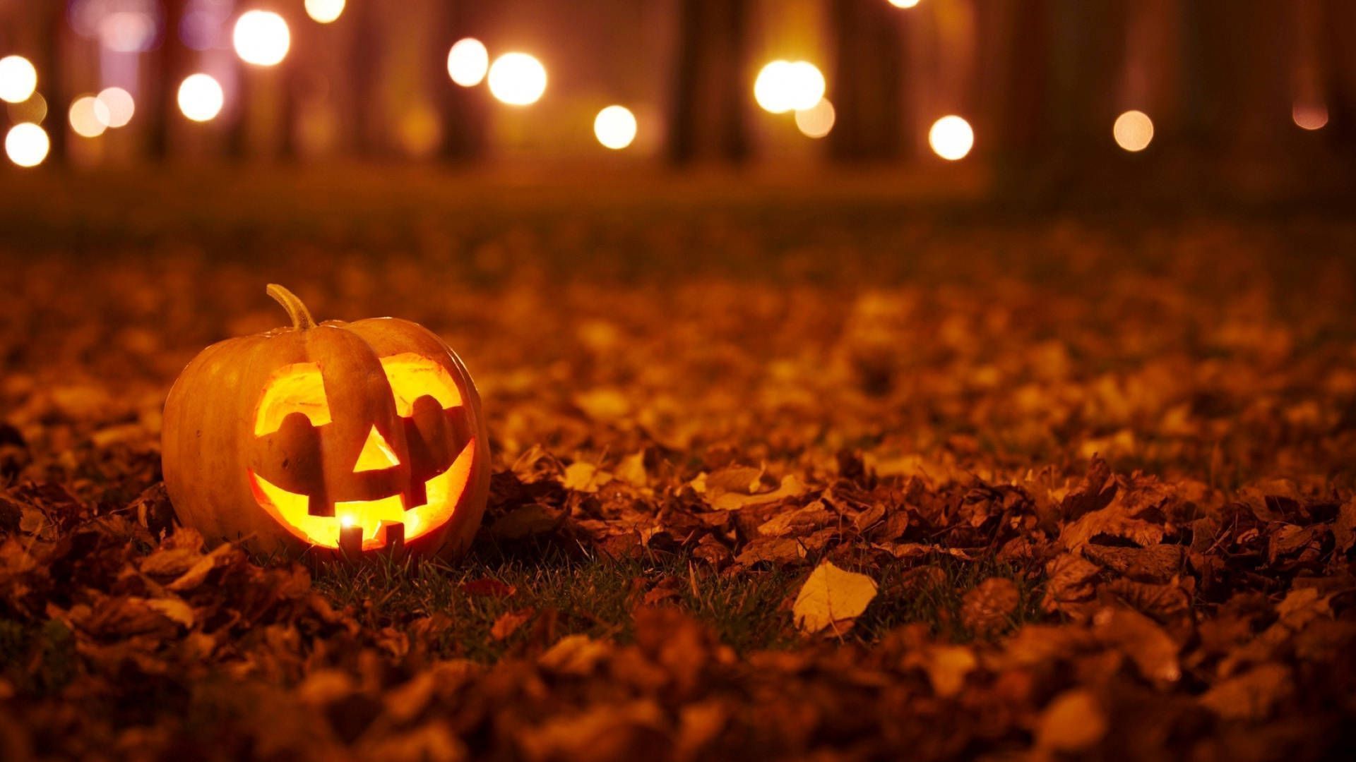 A carved pumpkin sits on a bed of leaves at night. - Halloween, Halloween desktop, cute Halloween